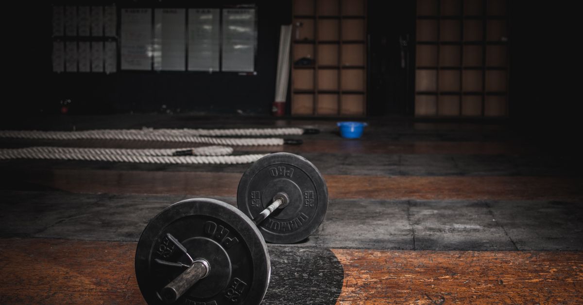 Navigating the Amenities Offered by Newcastle's Commercial Gyms